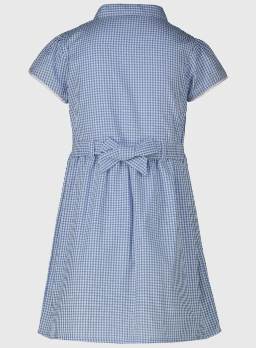 Blue Classic Gingham Dress 2 Pack 5 years