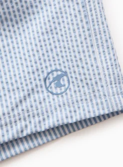 Blue Stripe Seersucker Swim Shorts 4 years