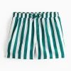 Green Deckchair Stripe Swim Shorts M