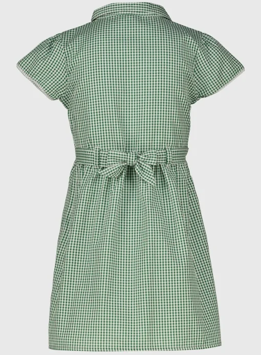 Green Gingham Classic School Dress 2 Pack 5 years