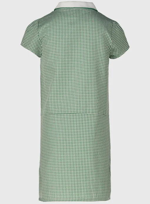 Green Sporty Gingham Dress 2 Pack 5 years