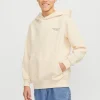 JACK & JONES JUNIOR Back Sweat Hoodie Junior 14 years