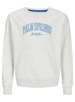 JACK & JONES JUNIOR Detroit Sweat Junior 16 years