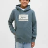 JACK & JONES JUNIOR Frederiksberg Hoodie Junior 10 years