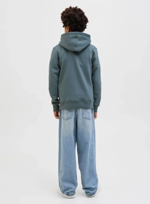 JACK & JONES JUNIOR Frederiksberg Hoodie Junior 10 years