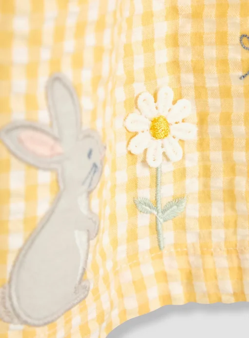 JOJO MAMAN BÉBÉ Bunny Applique Gingham Summer Dress 2-3 Years
