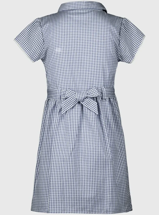 Navy Gingham Classic Dress 2 Pack 5 years