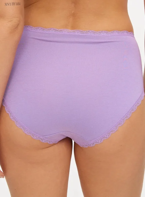 Plain Pastel Modal Blend Full Knickers 5 Pack 20